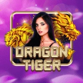 playzone live dragon tiger app