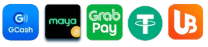 playzone payment