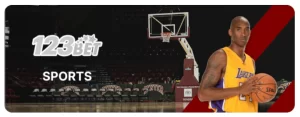 playzone sport basketball