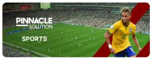 playzone sport football